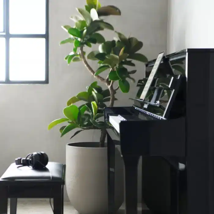 kawai nv5s piano droit