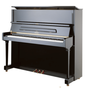 pÉtrof p125 f1 (copie)