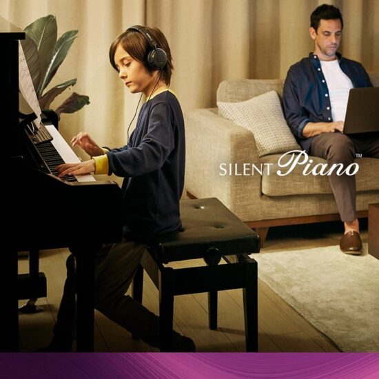 silent piano top ban sp