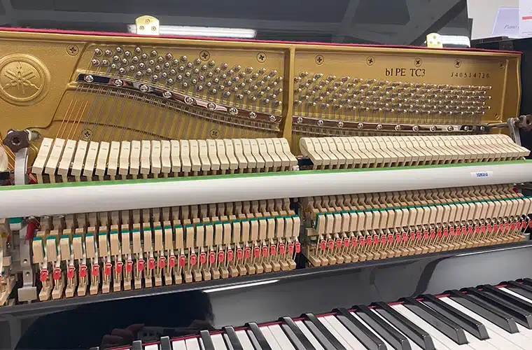 yamaha b1 piano droit en option : silent / transacoustic